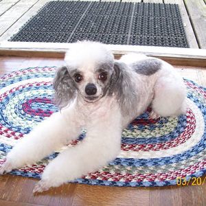 Meet your Posher, Jan